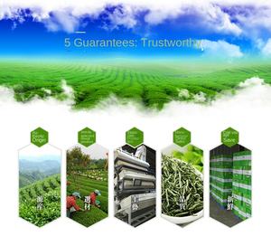 شاي أخضر عضوي فاخر من نوع بلسان العصفور، شاي الإبرة الفضية، أوراق شاي سائبة للتنحيف والصحة، مناسب كهدية - Product Image 6