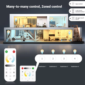 Double Color COB Smart <strong>Running</strong> CCT LED Strip <strong>Light</strong> 576LED Flowing Water Effect Remote Control 24V SPI Controller WS2811 24V - Product Image 5