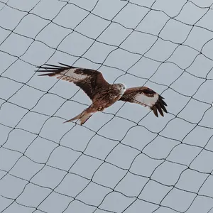 100% Virgin HDPE Landwirtschaft liches Anti-Vogelschutz netz Mono-Mesh-Vogel netz für Reisfeld-Fischteich