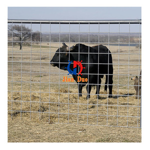 4x4 Welded Wire Mesh Fencing Welded <strong>Hog</strong> Dog Wire Mesh <strong>Panels</strong> - Product Image 4