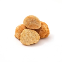 Champignons Crinière de Lion Entiers Séchés, Hericium Erinaceus Déshydraté, Champignon Comestible Gourmand pour la Cuisine, Fournisseur d'Usine en Gros