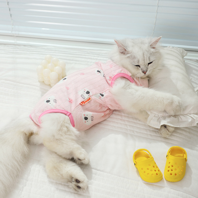 กองทุนปกป้องท้องโคอาล่า