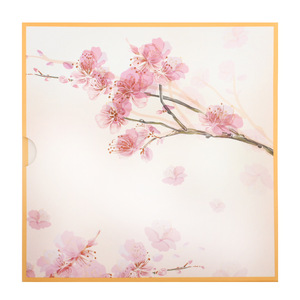 Palette <span class=keywords><strong>de</strong></span> fard à joues minéral mat longue tenue 9 couleurs avec <span class=keywords><strong>logo</strong></span> personnalisé, formule en poudre hautement pigmentée 30g, taille standard, teint moyen - Product Image 6