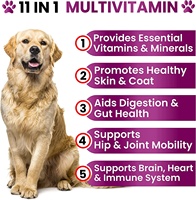 Complément alimentaire pour les hanches et les articulations des chiens, multivitamines à mâcher pour chiens, compléments pour les hanches et les articulations, vitamines pour chiens en marque privée