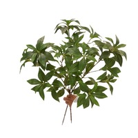 Daun Andromeda Jepang Buatan dari Lateks Sentuhan Alami Warna Natural BF-GN09, Buket Daun Buatan untuk Dekorasi Pernikahan