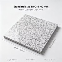Dalles de granit blanc nacré polies, 30 mm d'épaisseur, 1100x1100, grand format, modernes, pour pavage intérieur d'aéroports et de gares ferroviaires