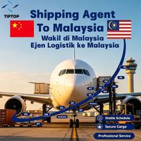 Agente de Transporte Marítimo en Malasia, Servicio de Envío Aéreo y Marítimo desde el Puerto de Penang para Mercancías Peligrosas y Generales, Agente de Carga FBA con Soporte 24/7