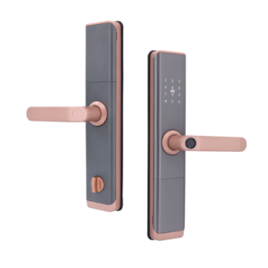 Serrure <span class=keywords><strong>de</strong></span> porte intelligente numérique TTlock en alliage d'aluminium à empreinte digitale, avec cloud et carte mémoire, pour portes en bois/acier – Vente chaude - Product Image 1