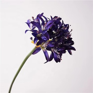 Flor púrpura Artificial Vintage europea de alta calidad Agapanthus <span class=keywords><strong>Africanus</strong></span> lirios flores de lirio africano de seda para decoración de boda - Product Image 2
