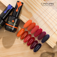 Vente en gros de vernis à ongles en gel à LED UV Soak Off Couleurs d'automne et d'hiver Fournitures d'art d'ongle de longue durée Caixuan