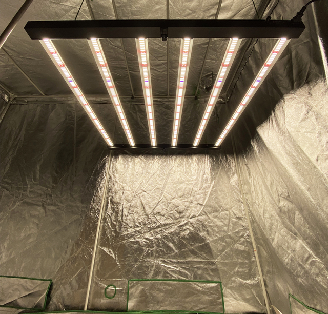 720W UV IR Full Spectrum LED Grow Light with IP65 Rating Aluminum Construction for Greenhouse Bloom Support