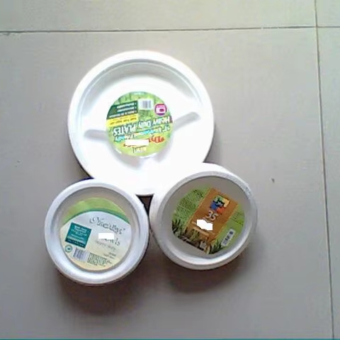 5 PCS Seperate Retail Packaging of Disposable Biodegradable Paper Plate Made From Sugarcane Pulp 100% Compostable and PFAS Free