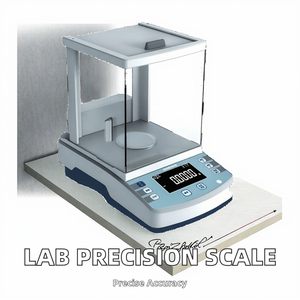 Balance de précision Genesite 10 Thousandth, pesage multi-plages, affichage LCD, réponse rapide, conversion multi-unités, fonction de comptage, garantie 1 an - Product Image 2