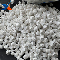 Masterbatch de carbonate de calcium PP 450-25, poudre de dolomite de qualité alimentaire, qualité film, film soufflé, granulé blanc, Hebei Chine