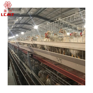 Gà <span class=keywords><strong>Brooder</strong></span> Lồng Cho 1 Ngày Tuổi Bé Gà Con Thiết Kế Cho Gia Cầm Trang Trại - Product Image 5