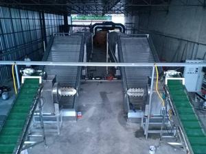 Séchoir à bande transporteuse continue mécanique <span class=keywords><strong>pour</strong></span> copeaux de noix de coco et de manioc, avec bande en maille, <span class=keywords><strong>pour</strong></span> l'alimentation animale - Product Image 5