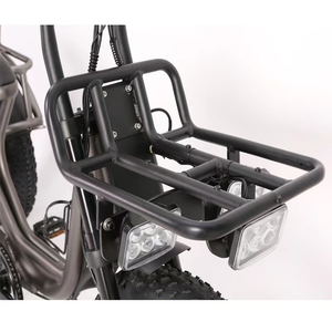 Triciclo eléctrico versátil con motor dual de 48V y 500W, bicicleta eléctrica de neumático grueso de 20 pulgadas, triciclo E de 3 ruedas para fines de carga de caza - Product Image 2