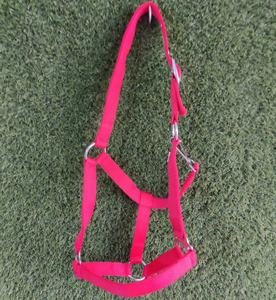 Premium Nylon Horse <b>Halter</b> Custom Made Design with Nickel Plated Adjustable Hardware and Soft Comfortable Fit - Product Image 5