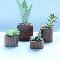 Pot Tanaman Sukulen Kayu Mini, Pot Kaktus Kayu Walnut Beech Solid, Pot Bunga Dekorasi Meja, Logo Custom, Grosir OEM
