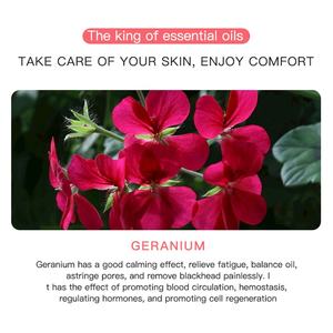 Venta al por mayor de ingredientes naturales orgánicos, aceite esencial para aliviar la fatiga (nuevo), juego de aceites esenciales para el cuidado de la piel - Product Image 5