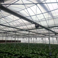 Grande serre commerciale multi-travées de type tunnel pour la culture hydroponique de tomates et de fraises, conception personnalisée, galvanisation à chaud simple.