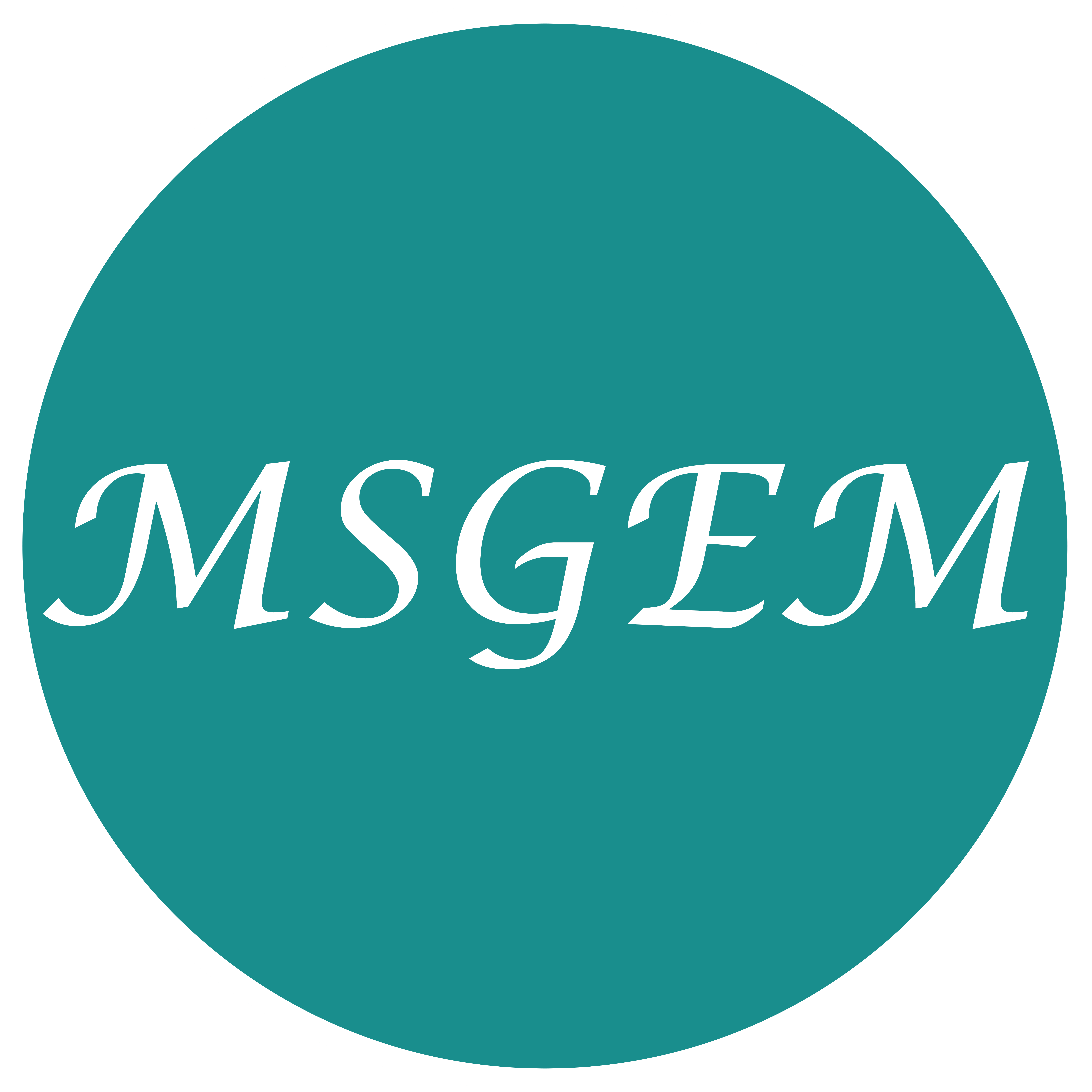 Xuchang Modern Show Hair Products Co., Ltd. logo