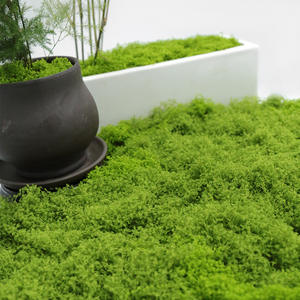 Style classique bionique mousse soie pelouse bonsaï Simulation numérique plante verte herbe décoration mousse artificielle aménagement paysager chaussée - Product Image 4