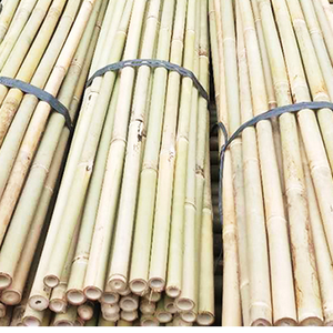 Palo de bambú para materias primas de jardín para hacer soporte de flores, para plantar y decorar 270cm 24/26mm - Product Image 3