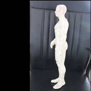 Menschliches Akupunktur modell 50cm menschliches Meridiane-Körper akupunktur punkt modell - Product Image 4