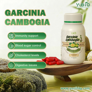 Complément Alimentaire Quotidien : Capsules de Garcinia Cambogia pour Soutenir la Fonction Intestinale et un Ventre Plat – Idéal pour les Sportifs – Prêt à l'Expédition - Product Image 2