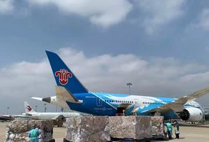 Transporte Aéreo de Cadena de Frío a Australia para Alimentos/<span class=keywords><strong>Medicamentos</strong></span> -18~25°C con Monitoreo |   Seguro de Tránsito Incluido, 7-11 Días de Tránsito |   Origen Guangzhou - Product Image 4