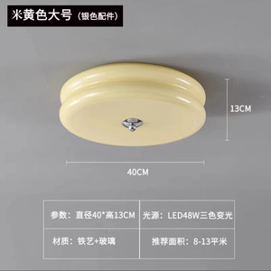 Dropshipping Shopify Cream Style Full Spectrum Eye Care Smart LED Ceiling Light For Bedroom Balcony Hallway Modern Minimalist - Product Image 2