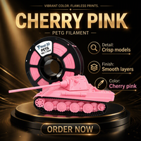 Filament d'imprimante 3D NOST PETG Rose Fleur de Cerisier