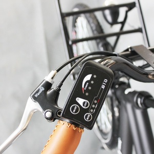 复古复古风格700c 36v 250w前机架城市电动自行车Ebike锂电池Ce标准无刷<span class=keywords><strong>JSL</strong></span> - Product Image 4