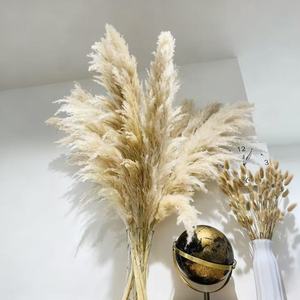 Herbe de la Pampa Séchée de Haute Qualité, Écologique, Grande et Moelleuse, Plus de 120 cm, pour Décoration Bohème et Aménagement Intérieur d'Événements, Vente en Gros - Product Image 5