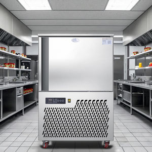 Haute qualité -45 ℃   Congélateur rapide <span class=keywords><strong>à</strong></span> porte unique avec 5 plateaux, équipement <span class=keywords><strong>de</strong></span> congélation pour usage domestique - Product Image 3