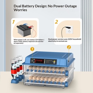 Incubadora de Huevos Automática con Control Digital de Temperatura y Volteo Automático para Incubar Huevos de Gallina, Pato, Codorniz, <span class=keywords><strong>Paloma</strong></span> y Ganso, para Uso Doméstico - Product Image 5