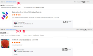 ขนนกกระจอกเทศธรรมชาติขนาด30-35ซม. สำหรับงานปาร์ตี้เทศกาลบ้านงานแต่งงานแจกันประดับต้นคริสต์มาสงานฝีมือดอกไม้ DIY - Product Image 6