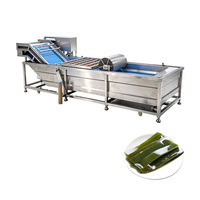 Multifunctionele luchtbel-groentewasmachine voor de verwerking van zoete aardappelen en fruit 220V/380V