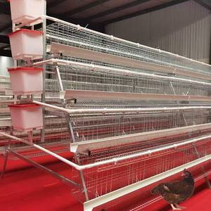 <span class=keywords><strong>Cage</strong></span> à poulets de chair facile à utiliser, prête pour l'élevage, pour 400 poulets de chair, <span class=keywords><strong>cage</strong></span> à poules pondeuses, machine à fabriquer des cages en maille, type <span class=keywords><strong>A</strong></span>, <span class=keywords><strong>cage</strong></span> à poulets - Product Image 1