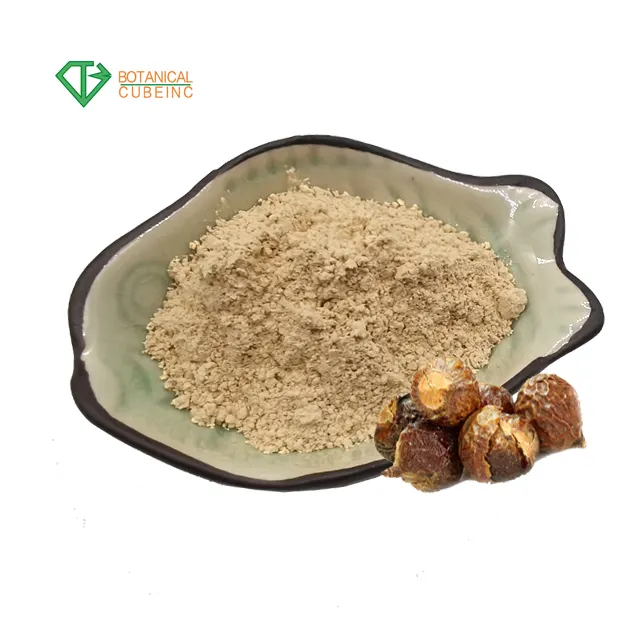 B.c.i Fabriek Groothandel Bulk Soapberry Sapindus Mukorossi Extract Soapnut Saponine Extract Poeder 70% Sapindoside