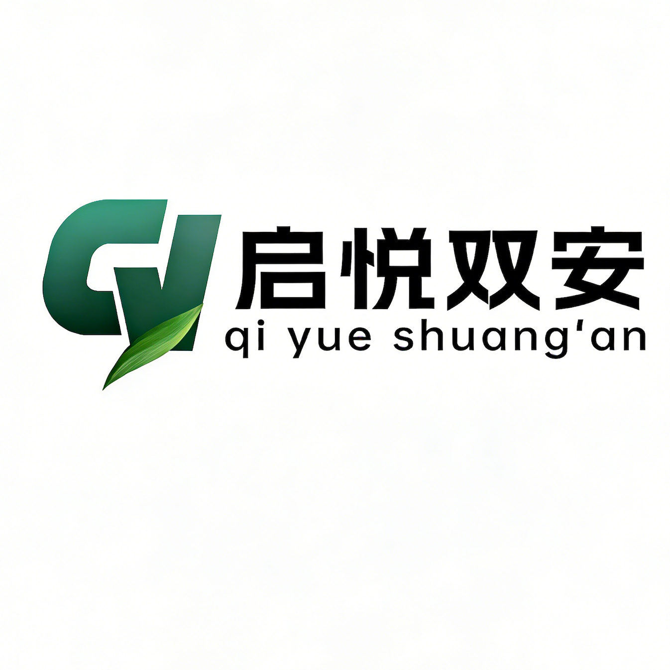 Beijing Qiyue Shuang'an Technology Co., Ltd. logo