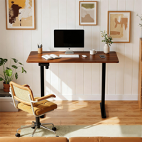 Bureau debout électrique PRORIALS moderne pour bureau à domicile, réglable en hauteur, à moteur unique, télescopique, noir, durable, en métal