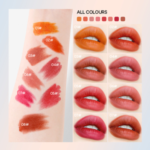 2025 Venta al por mayor Mini Velvet <span class=keywords><strong>Matte</strong></span> Lip Gloss Capsule 8 Juegos de colores Caja Lápiz labial de terciopelo antiadherente para maquillaje - Product Image 3