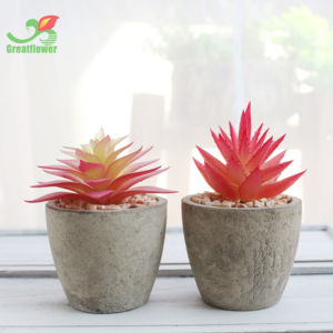 Fábrica de alta calidad pulpa en maceta <span class=keywords><strong>plantas</strong></span> suculentas <span class=keywords><strong>artificiales</strong></span> Mini planta suculenta decorativa para la decoración de la Mesa de la oficina en casa - Product Image 5