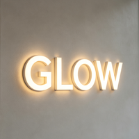 Lettres lumineuses 3D LED personnalisées pour logo de marque d'entreprise - Utilisation au bureau et pour les mariages, contrôle par application, étanches IP65
