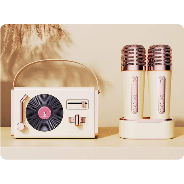 C-220 PLUS Hot Selling Portable Mini Karaoke Speaker Hifi Music Party DJ Speaker Voice Changer Magnetic Dual Microphone Charging