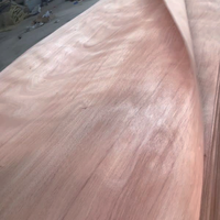 Placage de bois naturel écologique en okoumé du Gabon, coupe rotative, texture lisse pour applications de surface décorative de meubles en contreplaqué