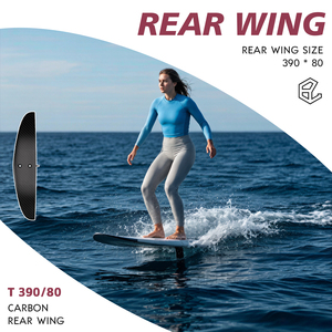 ฟรนซ์ โอคซิทานี เลียคัต ลากูน AXIS 390/80 GAP คาร์บอน ฟรีไรด์ ปีกหลังขนาดเล็ก บาลานซ์ คาร์ฟวิ่ง วิงฟอยล์ เพอร์ฟอร์แมนซ์ - Product Image 1