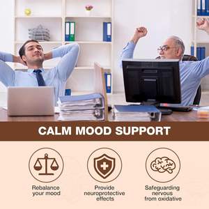 OEM ODM Organic Mushroom <b>Gummy</b> Lion's Mane and Chaga Blend for Focus & Immunity Support - Product Image 5